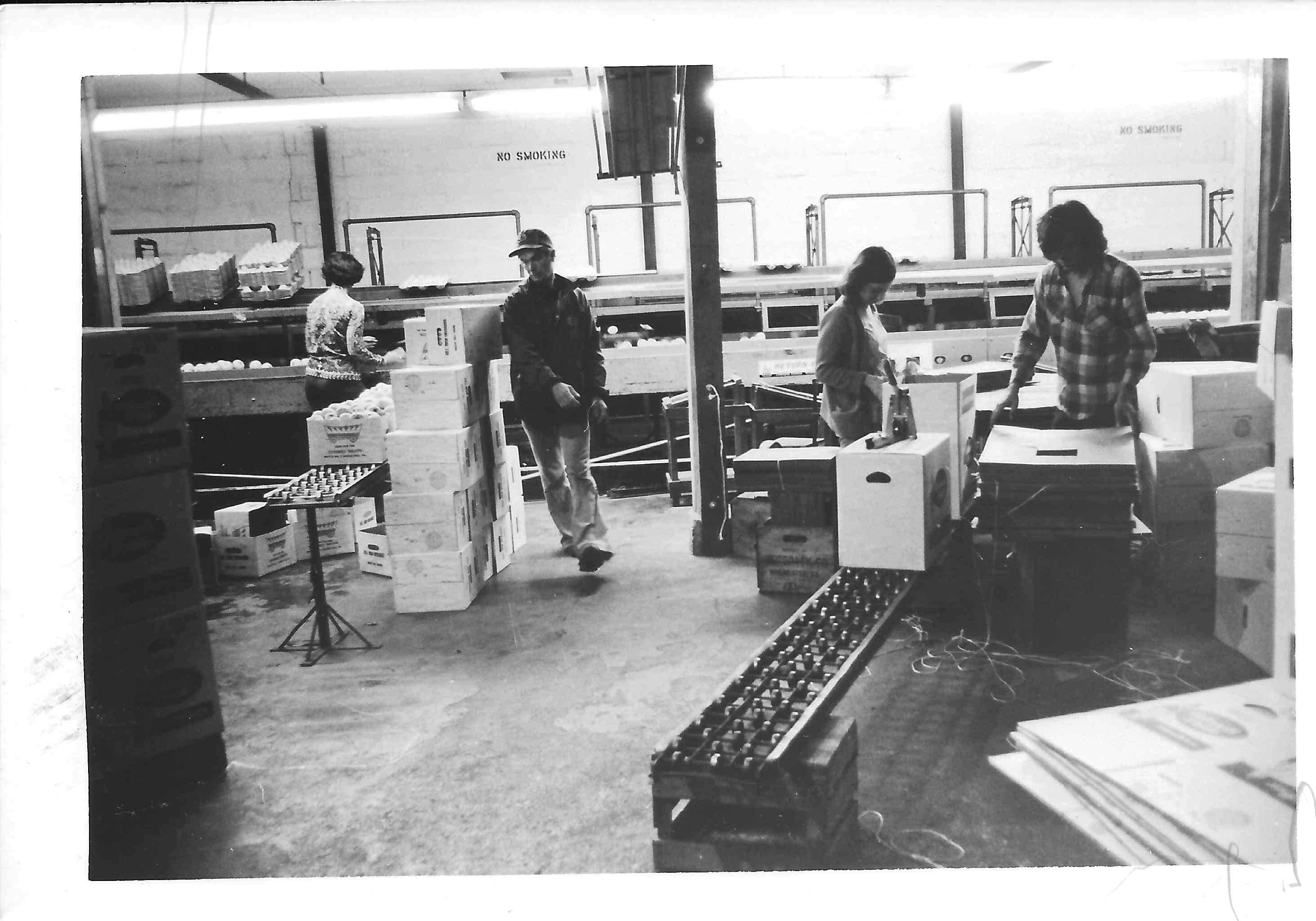 scan0017